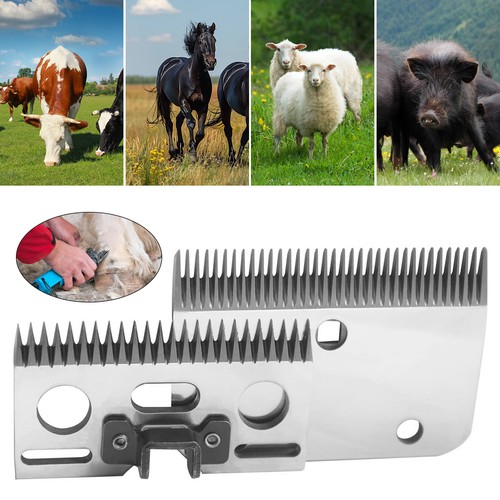 Medium horse clipper blades - horse,