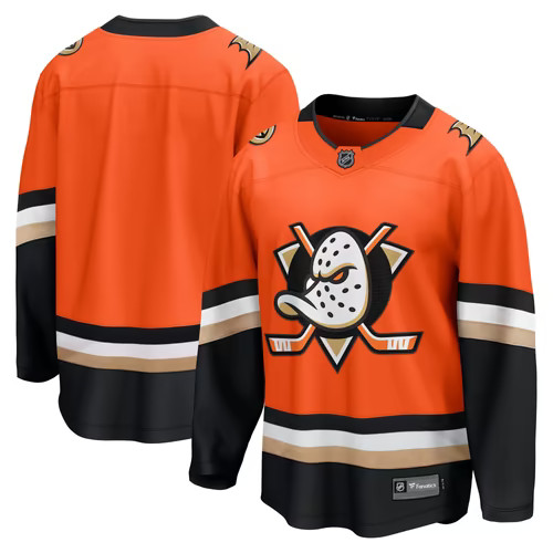 Anaheim ducks nhl ice hockey - ice,