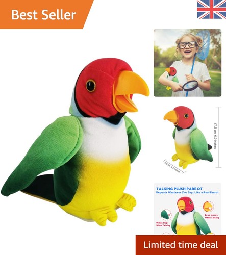 Colorful talking parrot - colorful,