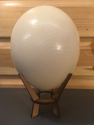 Genuine natural blown - natural, ostrich