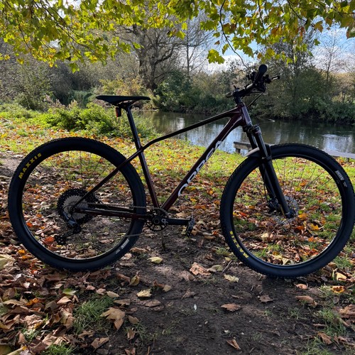 Brand new 2024 orbea - alma, h30