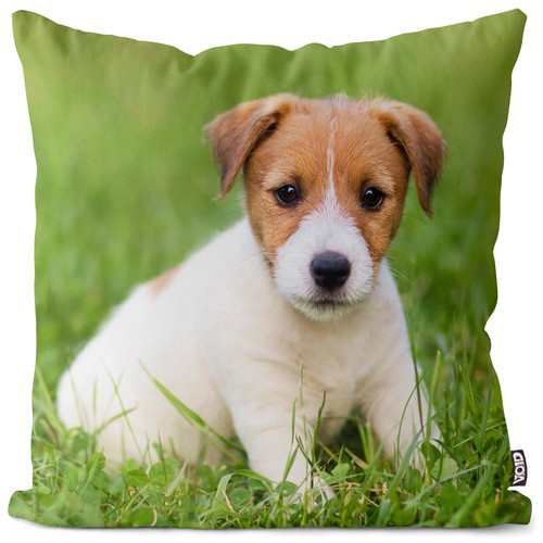 Jack russell terrier cushion - russell,