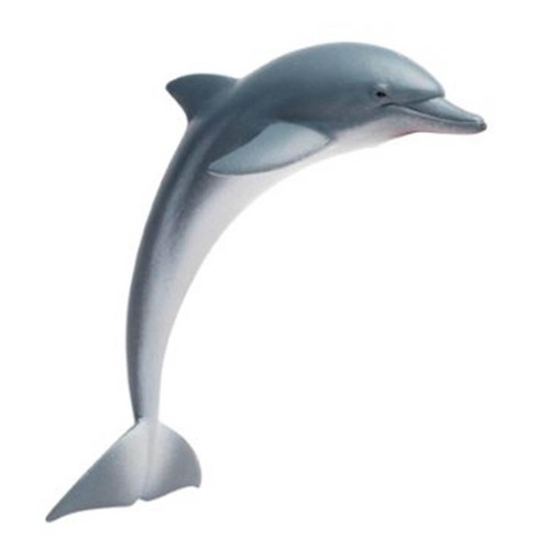 Dolphin sea life safari ltd - life,