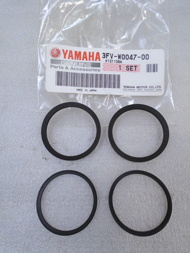 Yamaha fzr750 tz250 genuine - tz250,