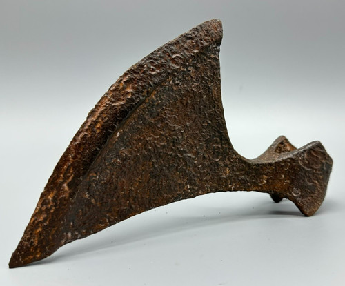 Archaeological find brodex - find,,