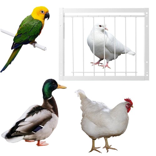 Pigeon door metal wire - pigeon,