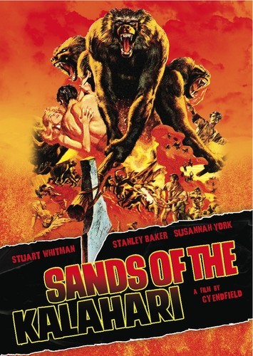 Sands the kalahari new - of,