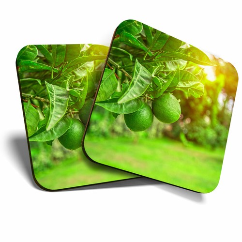 Coasters citrus fruits - coasters,