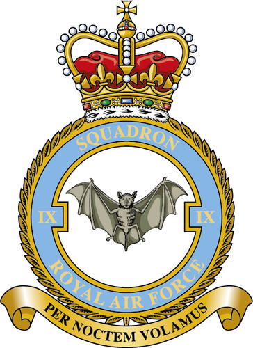 Squadron raf badge patch - no.,