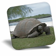 Awesome Fridge Magnet -