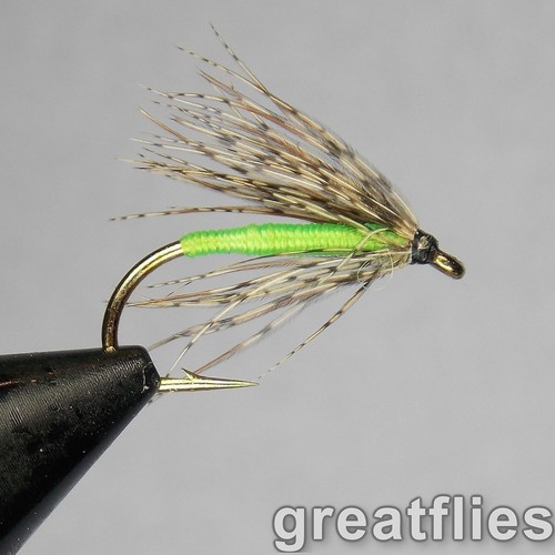 Dozen soft hackle - 1, (12)