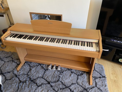 Yamaha digital piano ydp - digital, ydp-`31