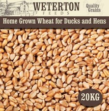 20kg Home-Grown Wheat Feed for