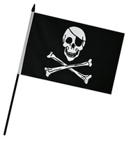 Pirate Hand Flag - Skull and Crossbones (9" x 6")