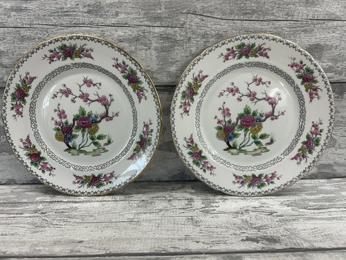 Tuscan fine bone - fine, china