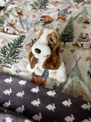 Vintage hush puppies basset - vintage,