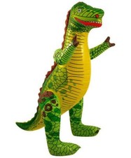 Blow Up Inflatable Reusable