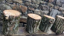 Tree Stumps 1ft/1ft Rustic Home/gardan Furniture.  ⭐️ BUY 4 GET 1 FREE⭐️￼
