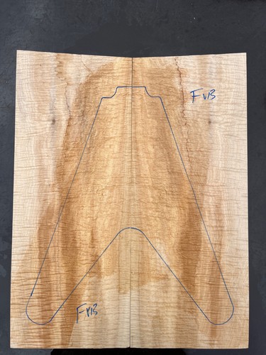 Curly sycamore maple flying - maple, v