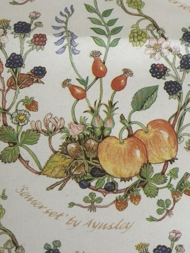 Somerset aynsley - ,