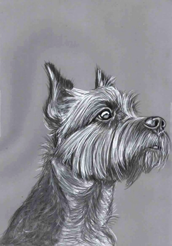 Original pencil artwork - pencil,