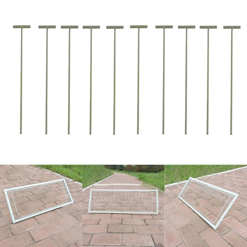 10x pigeon birds entrance - pigeon,