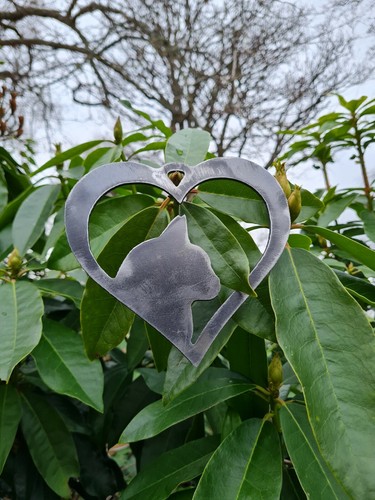 Bare metal cat heart - cat,