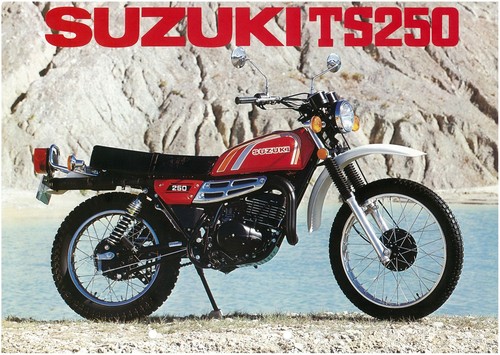 Suzuki brochure ts250 ts250n - suzuki,