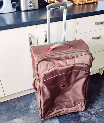Delsey kaki large soft upright - delsey,