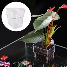 Wall-Mounted Hydroponic Plant