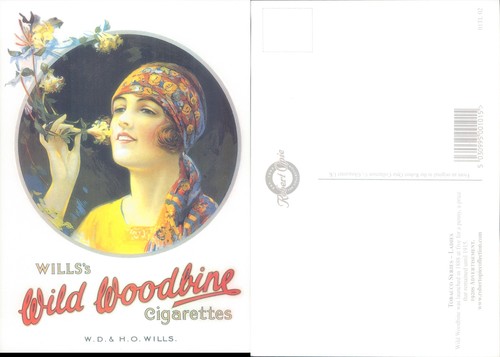 Wills wild woodbine - wild,