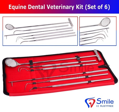 Equine dental mirror scaler - equine,