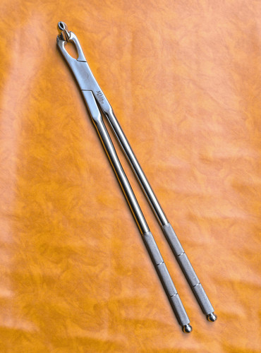 Long nose equine dental - long,