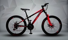 24-Inch RED Mountain Bicycle