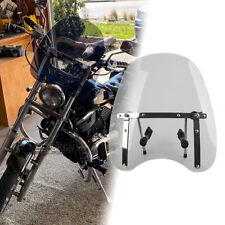 Large Smoke Windshield Screen