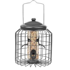 Squirrel Proof Hanging Bird