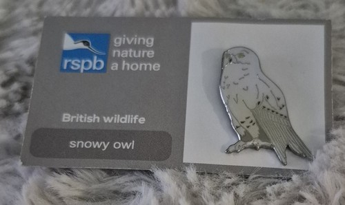 Rspb bird pin - rspb, badge