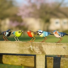Charming Garden Bird Steel