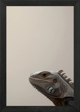 White Iguana Portrait Framed