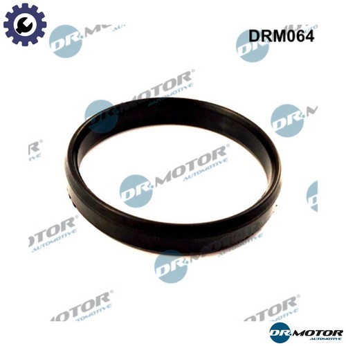 Gasket throttle body - gasket,