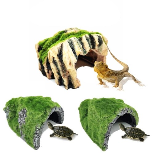 Tortoise shelter house nest - shelter,