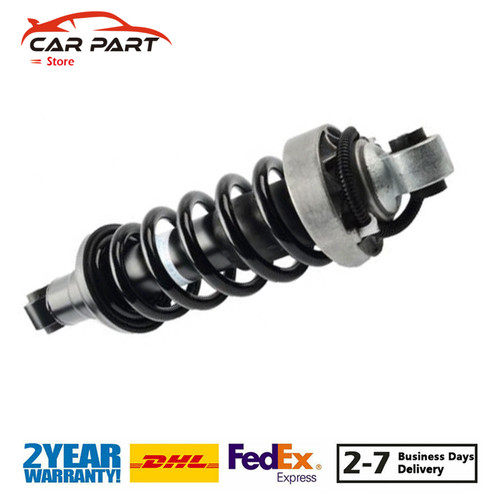 1pcs rear right shock absorber - rear,