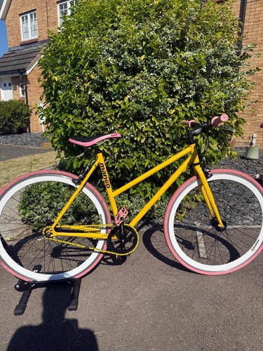Custom mango single speed - custom,
