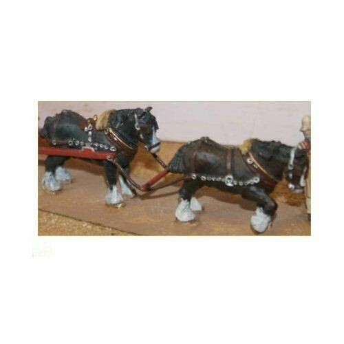 Shire horses with harness - shire, oo