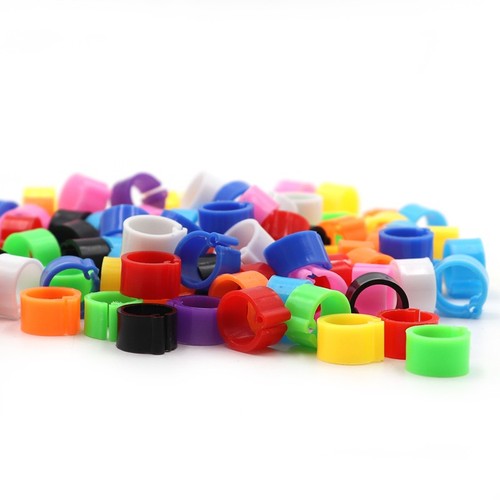 100pcs mixed colour bird rings - bird,