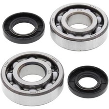 Precision Crankshaft Bearing