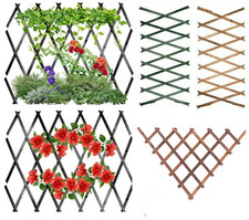 6ft Expanding Wooden Wood Trellis Climbing Plants Fence Panel Screening Lattice