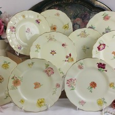 Antique Cauldon Brown Westhead Moore Hand Painted Flower Plates x 9 c. 1880