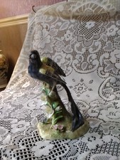 Crown  Staffordshire Widow Bird
