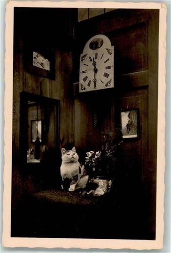 39678338 photo rudolf - photo,